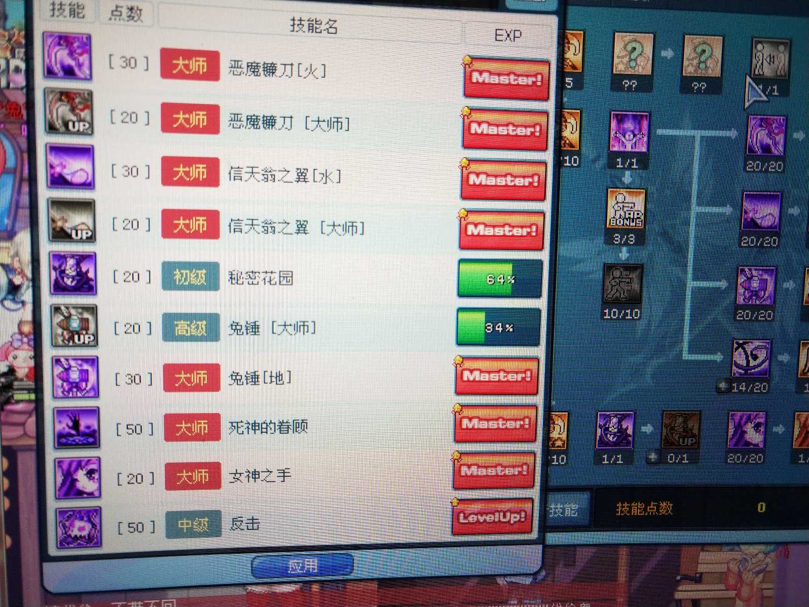 彩虹岛-账号-[法师256级]幻灵256,卡牌200,术士200都随好毛名片