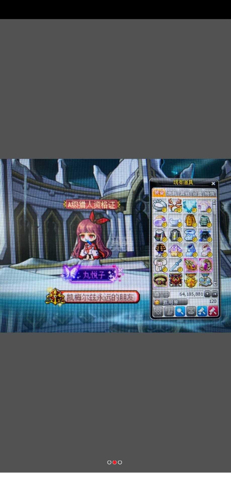 冒险岛-账号-[恶魔猎手204级]混染悠然柔娜,多种闪耀点装